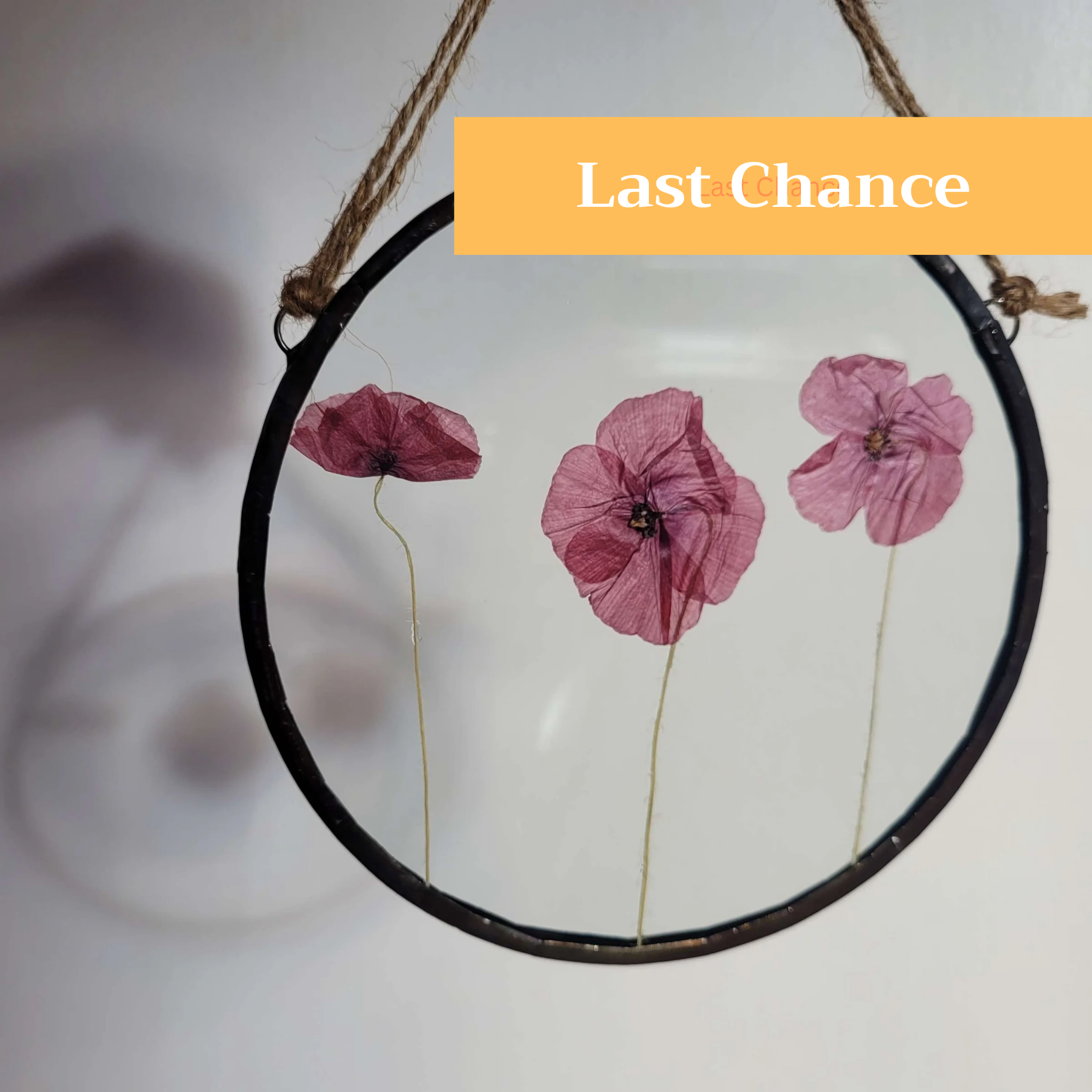 This 6" circular frame includes a trio of real pressed poppies. All our frames are handmade using the Tiffany stained glass technique and a lead free solder. This frame has been stained with a black patina. On purchase your pressed flower frame will be beautifully wrapped and packaged to ensure it reaches you safely. Efforts have been made to use eco friendly packaging wherever possible.  Trio of Poppies Real Pressed Poppy Flower Floating Frame