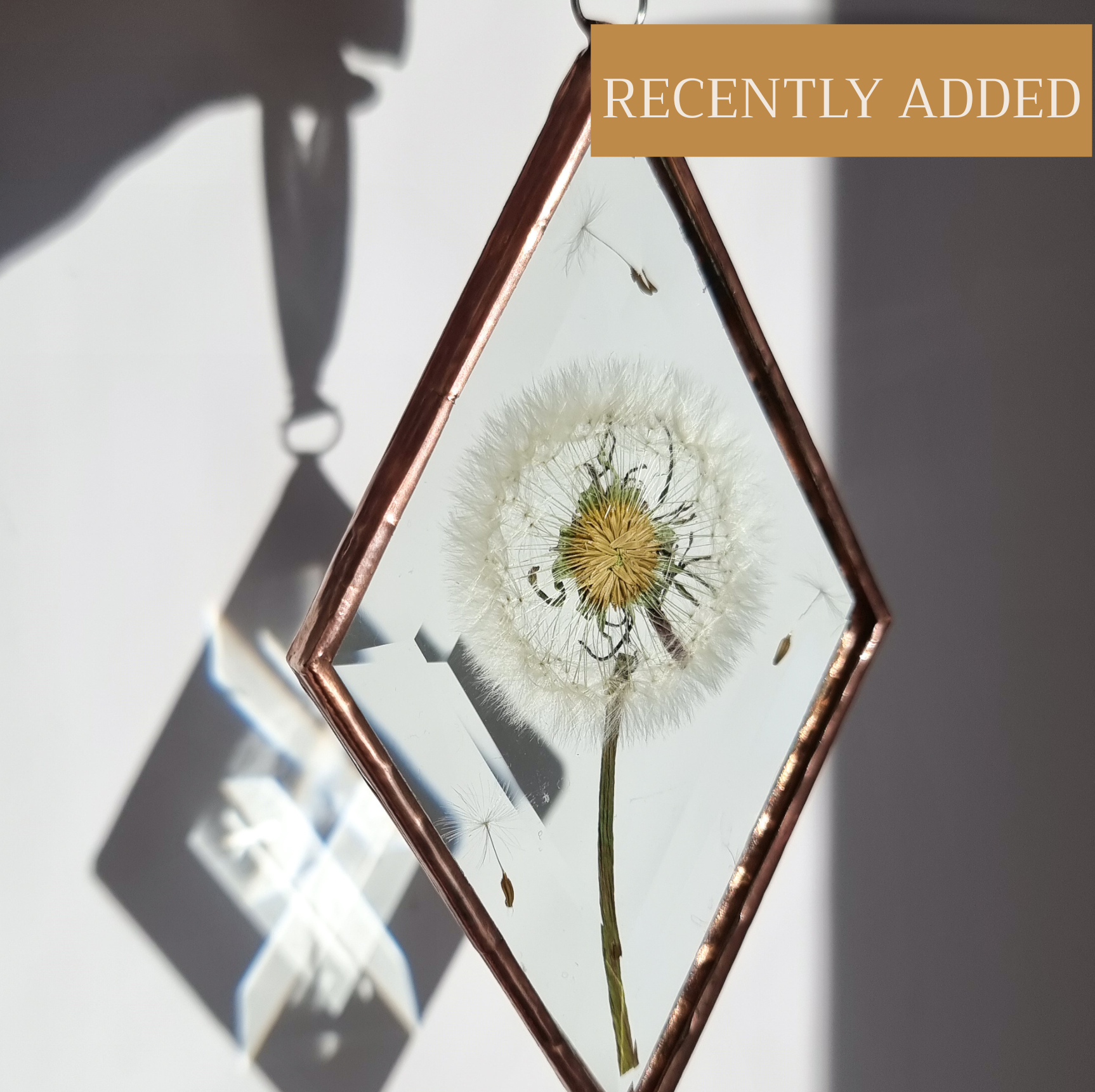 Real Pressed Dandelion Suncatcher. Created with a real Irish Dandelion which has been preserved.