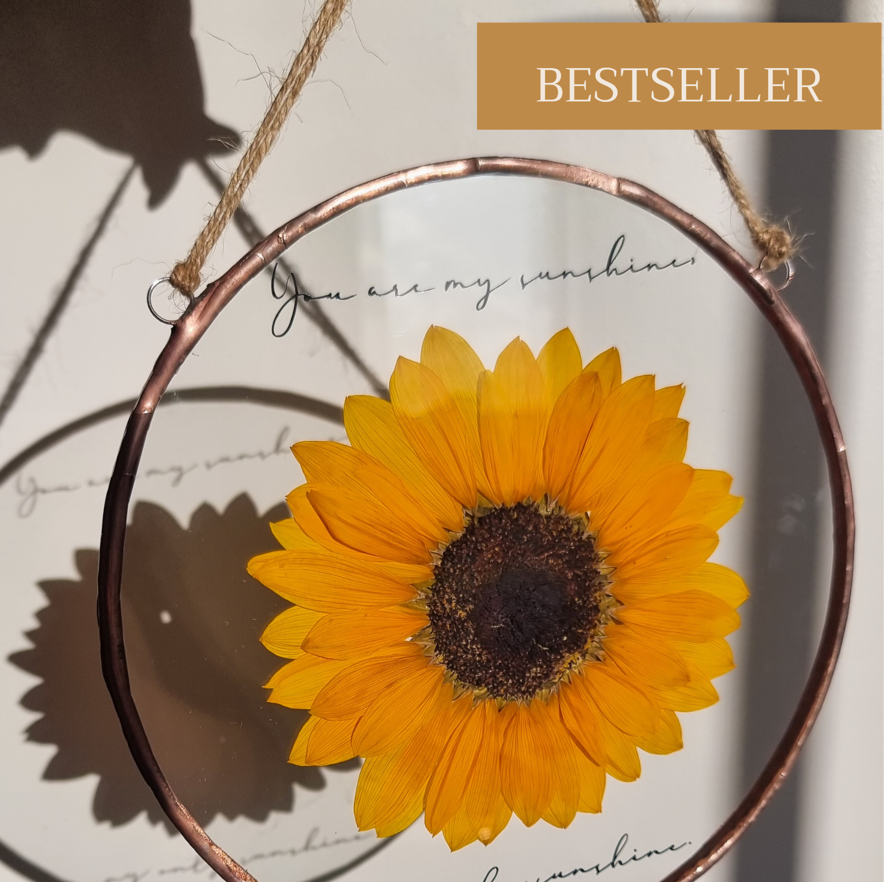 You Are My Sunshine Real Pressed Sunflower Glass Floating Frame